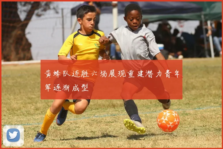 黄蜂队连胜六场展现重建潜力青年军逐渐成型