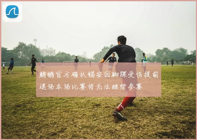 鹈鹕官方确认锡安因脚踝受伤提前退场本场比赛将无法继续参赛