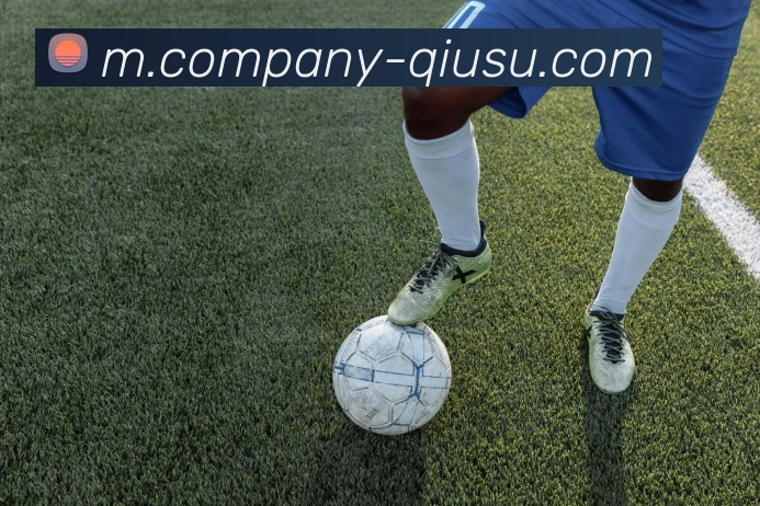 球速体育APP 封面图